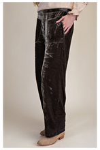 Load image into Gallery viewer, Velvet Pants
